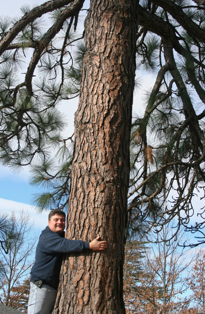 Townsend hugs Greenbelt tree