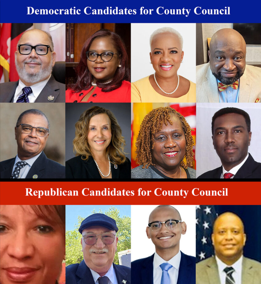 Eight Democrats, Four Republicans Run for Open County Council Seat